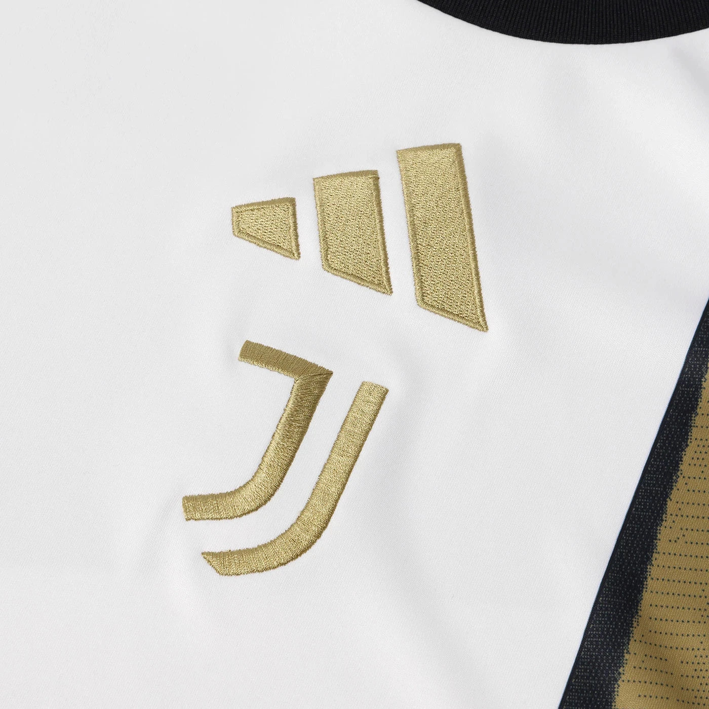 Juventus Pre-Match 26/27 - Fan Version