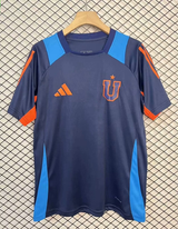 Universidad de Chile Training  2025/26 - Fan Version
