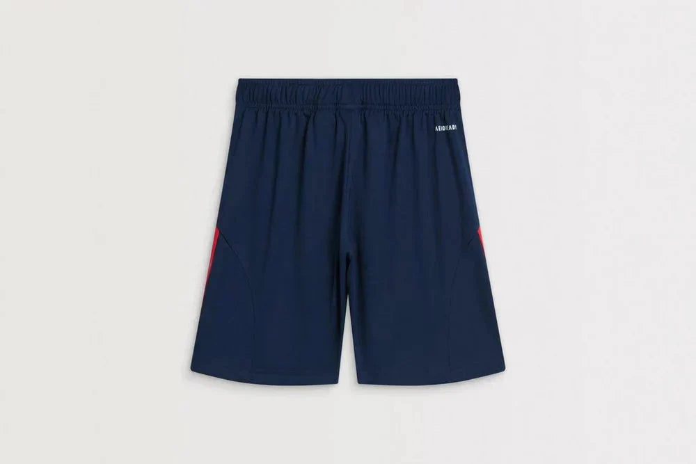 Shorts Arsenal 25/26 Away