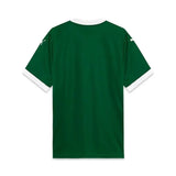 Palmeiras Home 25/26